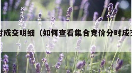 分时成交明细（如何查看集合竞价分时成交明细）