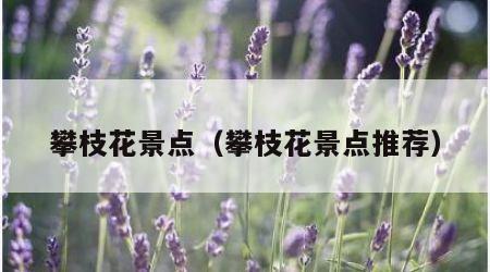 攀枝花景点（攀枝花景点推荐）