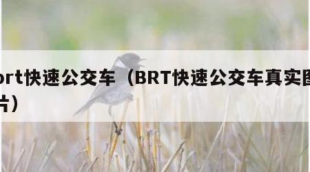 brt快速公交车（BRT快速公交车真实图片）