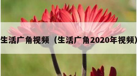 生活广角视频（生活广角2020年视频）