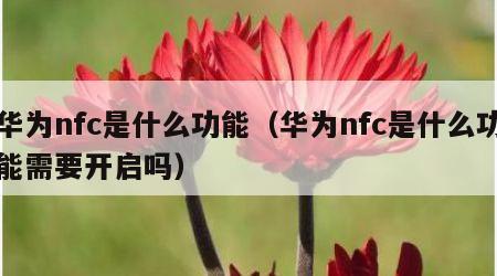 华为nfc是什么功能（华为nfc是什么功能需要开启吗）