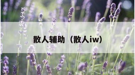 散人辅助（散人iw）