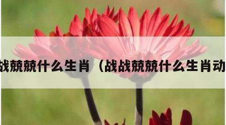 战战兢兢什么生肖（战战兢兢什么生肖动物）