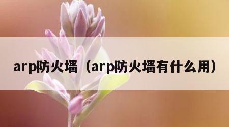 arp防火墙（arp防火墙有什么用）