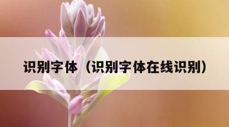 识别字体（识别字体在线识别）