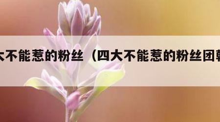 四大不能惹的粉丝（四大不能惹的粉丝团韩娱）