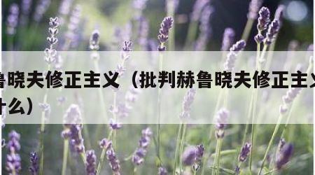 赫鲁晓夫修正主义（批判赫鲁晓夫修正主义史称什么）