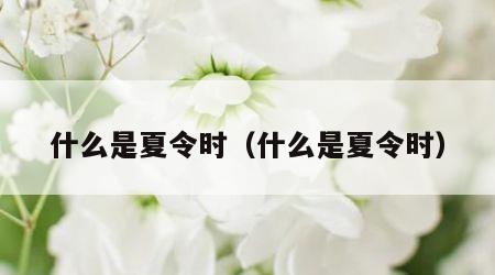 什么是夏令时（什么是夏令时）