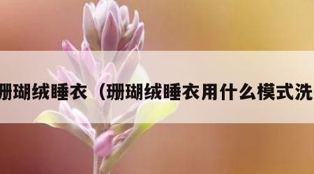 珊瑚绒睡衣（珊瑚绒睡衣用什么模式洗）