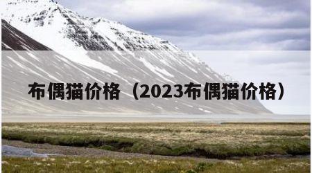 布偶猫价格（2023布偶猫价格）