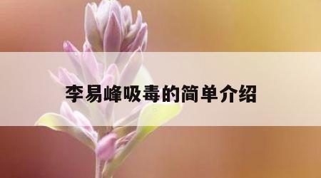 李易峰吸毒的简单介绍