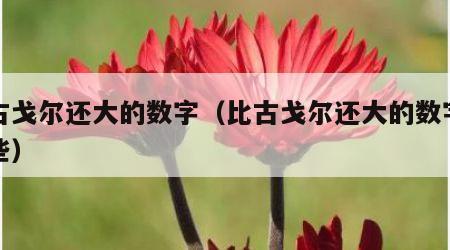 比古戈尔还大的数字（比古戈尔还大的数字有哪些）