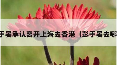 彭于晏承认离开上海去香港（彭于晏去哪了）