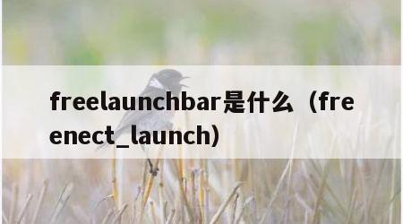 freelaunchbar是什么（freenect_launch）