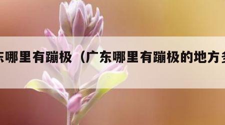 广东哪里有蹦极（广东哪里有蹦极的地方多少钱）