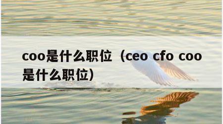 coo是什么职位（ceo cfo coo是什么职位）