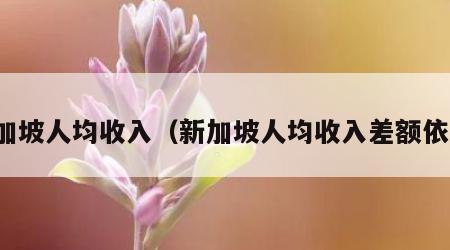 新加坡人均收入（新加坡人均收入差额依靠）