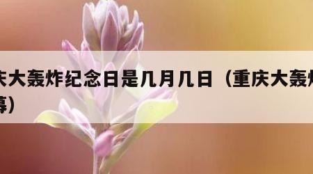 重庆大轰炸纪念日是几月几日（重庆大轰炸的序幕）