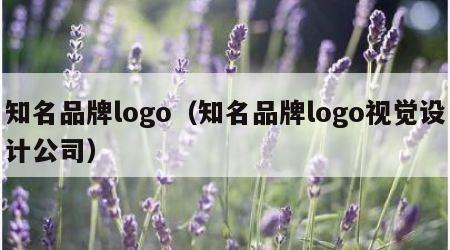 知名品牌logo（知名品牌logo视觉设计公司）