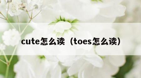 cute怎么读（toes怎么读）