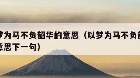 以梦为马不负韶华的意思（以梦为马不负韶华的意思下一句）