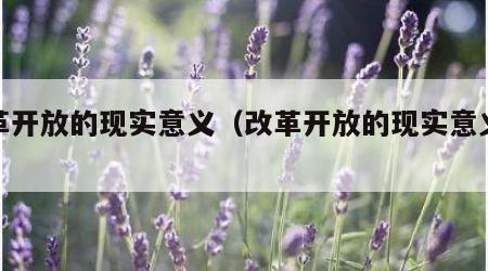 改革开放的现实意义（改革开放的现实意义总结）