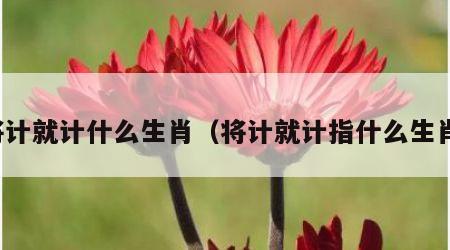 将计就计什么生肖（将计就计指什么生肖）