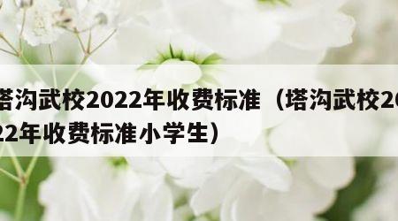 塔沟武校2022年收费标准（塔沟武校2022年收费标准小学生）