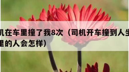 司机在车里撞了我8次（司机开车撞到人坐在车里的人会怎样）