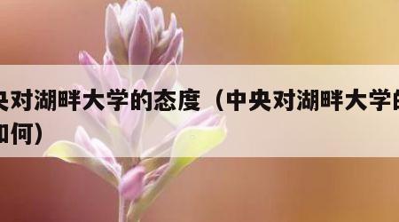 中央对湖畔大学的态度（中央对湖畔大学的态度如何）