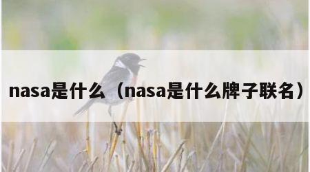 nasa是什么（nasa是什么牌子联名）