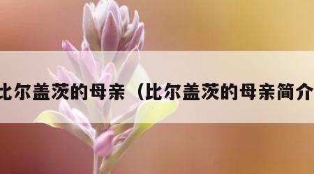 比尔盖茨的母亲（比尔盖茨的母亲简介）