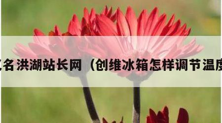 又名洪湖站长网（创维冰箱怎样调节温度）