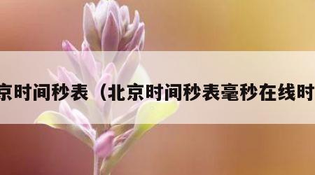 北京时间秒表（北京时间秒表毫秒在线时间）