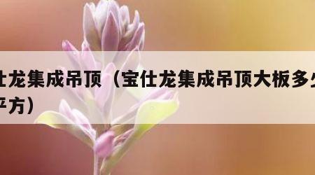 宝仕龙集成吊顶（宝仕龙集成吊顶大板多少钱一平方）