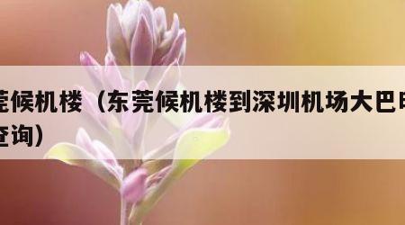 东莞候机楼（东莞候机楼到深圳机场大巴时刻表查询）