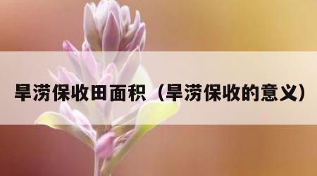 旱涝保收田面积（旱涝保收的意义）