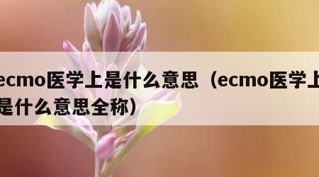 ecmo医学上是什么意思（ecmo医学上是什么意思全称）