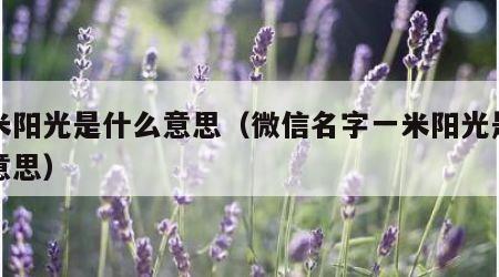 一米阳光是什么意思（微信名字一米阳光是什么意思）