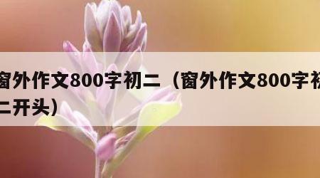 窗外作文800字初二（窗外作文800字初二开头）