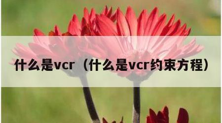 什么是vcr（什么是vcr约束方程）