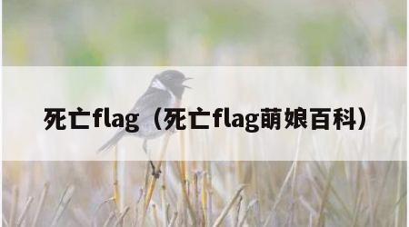 死亡flag（死亡flag萌娘百科）