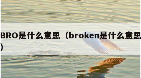 BRO是什么意思（broken是什么意思）