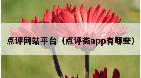 点评网站平台（点评类app有哪些）