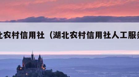 湖北农村信用社（湖北农村信用社人工服务电话）