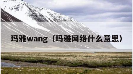 玛雅wang（玛雅网络什么意思）