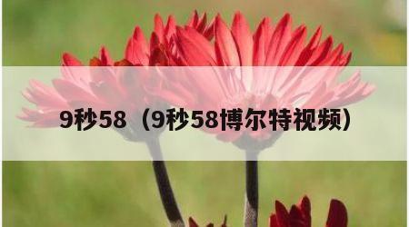 9秒58（9秒58博尔特视频）