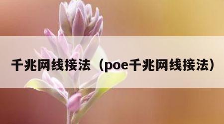 千兆网线接法（poe千兆网线接法）