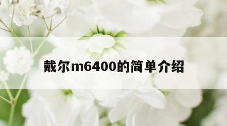 戴尔m6400的简单介绍