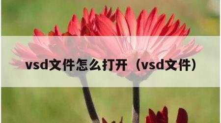 vsd文件怎么打开（vsd文件）